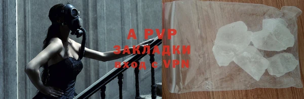 стаф Абаза
